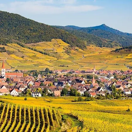 Apartment Chez Florence *